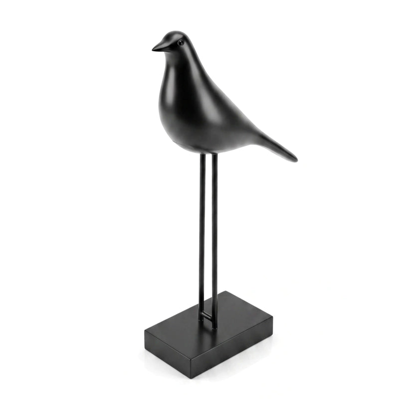 Pájaro negro